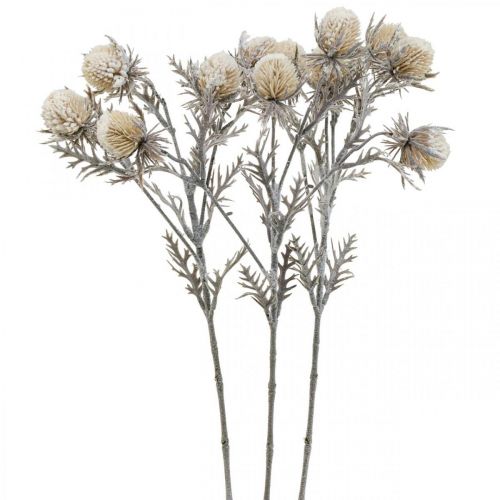 Floristik24 Thistle branch artificially iced decorative branch winter 55cm 3pcs