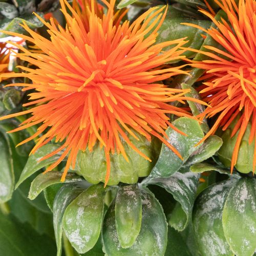 Artificial Safflower Stems Orange for Vase Decoration and Home Styling 55cm Set of 4 | Floristik24.co.uk