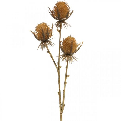 Product Thistle Branch Brown Artificial Plant Fall Decoration 38cm Artificial plant like the real thing!