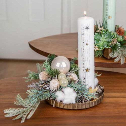 Floristik24 Thistle branch artificially iced decorative branch winter 55cm 3pcs