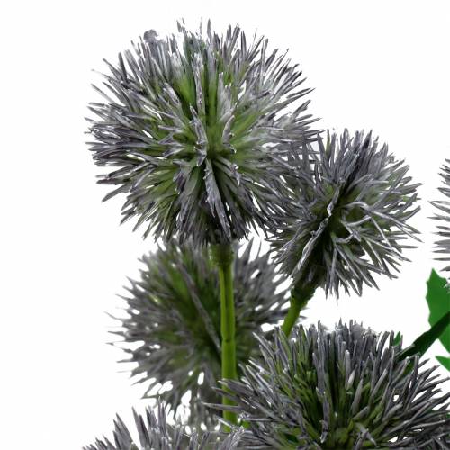 Floristik24 Thistle silk flower blue 56cm 3pcs