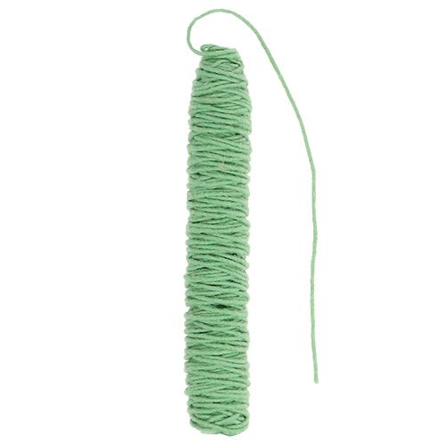 Product Wick thread felt cord light green 55m