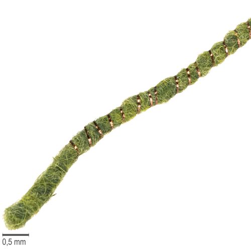 Floristik24 Green wool cord with gold thread, 5m x 5mm with wire, for decoration and crafting