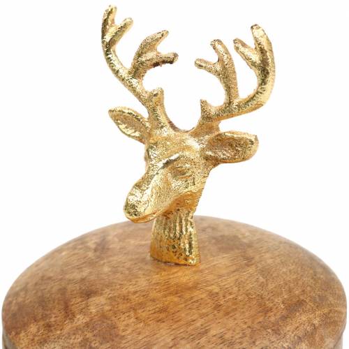 Floristik24 Box of mango wood with deer head golden Ø10cm H15cm