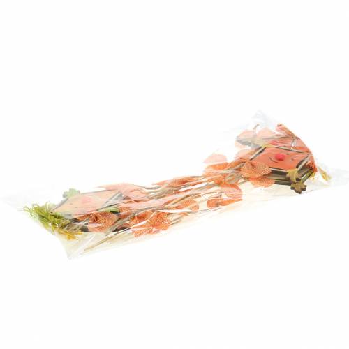 Floristik24 Deco plug dragon 39.5cm 6pcs