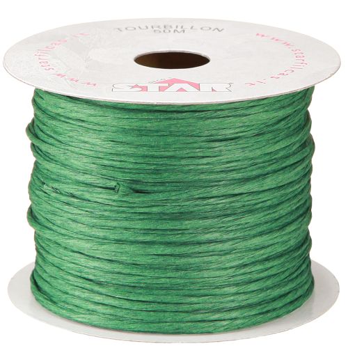 Floristik24 Wire wrapped 50m green