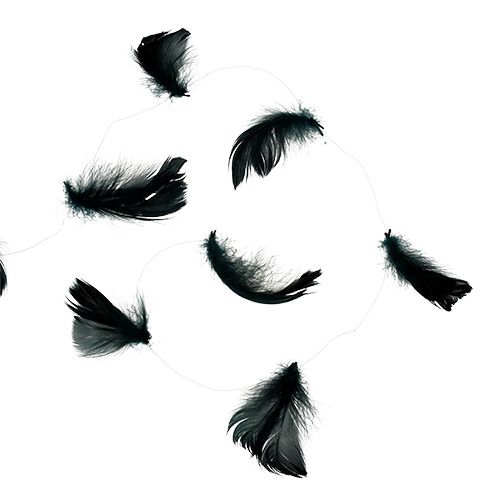 Floristik24 Feathers on wire Black 10m