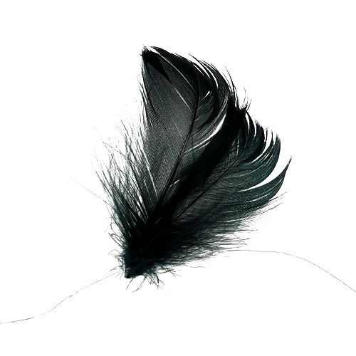 Floristik24 Feathers on wire Black 10m