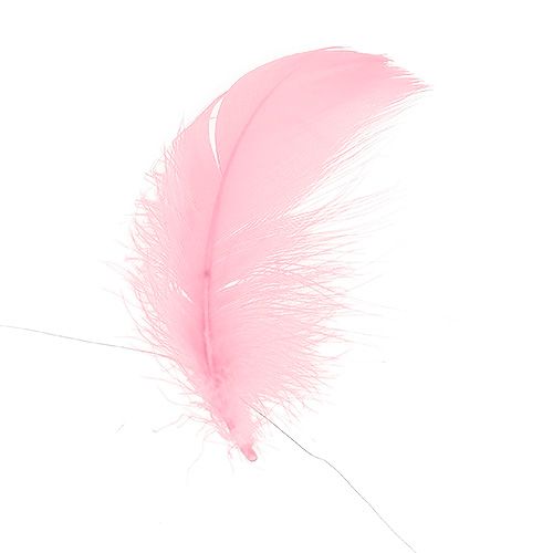 Floristik24 Wire with feathers light pink 10m