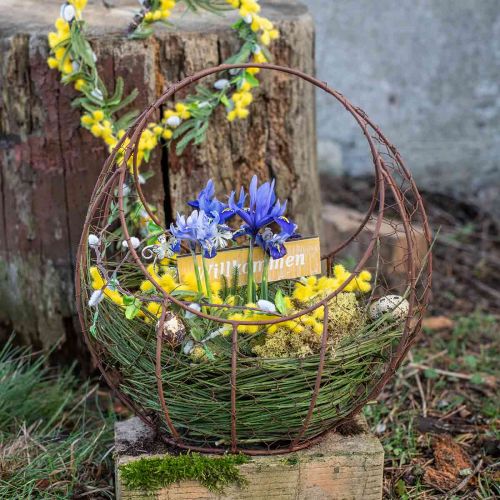 Product Wire Basket Metal Planter Spring Decoration Easter Basket Brown Patina H34cm L30cm