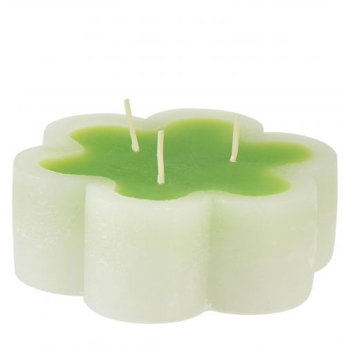 Three-wick candle green white shape flower Ø11.5cm H4cm