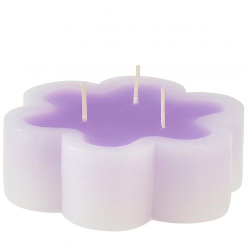 Floristik24 Three-wick candle as a flower candle purple white Ø11.5cm H4cm
