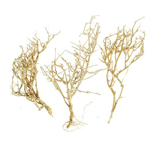 Product Dried branches Bleached Natural miniature trees 500g