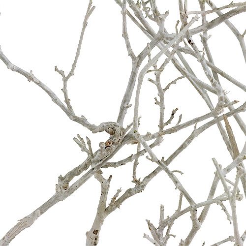 Product Dry Tree White washed 500g