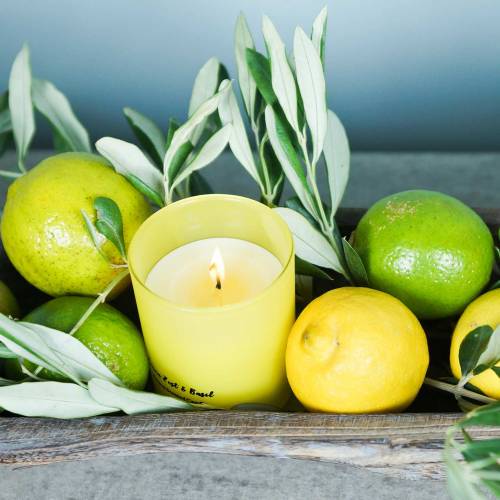 Floristik24 Scented candle in a lemon-basil glass Ø7cm