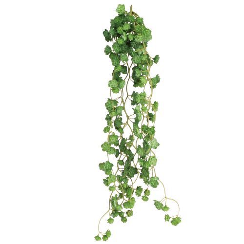 Product Echeveria Artificial Hanging Plants in Green W12cm L50cm