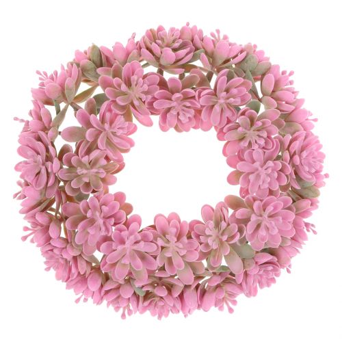 Floristik24 Echeveria wreath Pink Ø18cm 4pcs