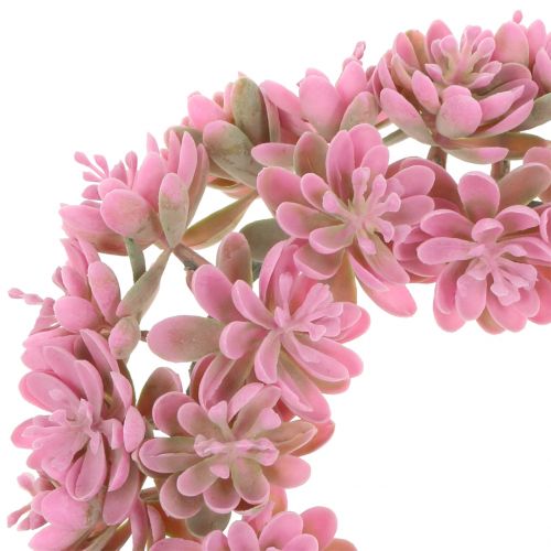Floristik24 Echeveria wreath Pink Ø18cm 4pcs
