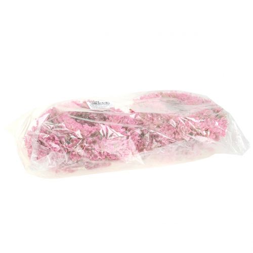 Floristik24 Echeveria wreath Pink Ø18cm 4pcs