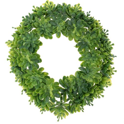 Floristik24 Echeveria wreath green Ø18cm 4pcs