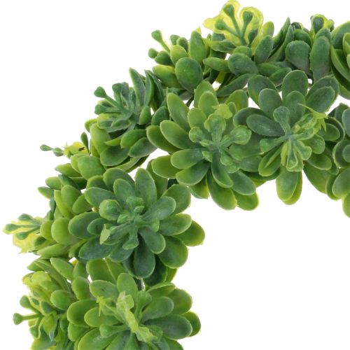 Floristik24 Echeveria wreath green Ø18cm 4pcs