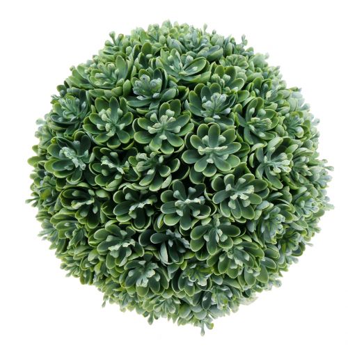 Floristik24 Echeveria ball artificial green Ø18cm