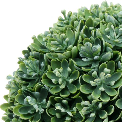 Floristik24 Echeveria ball artificial green Ø18cm