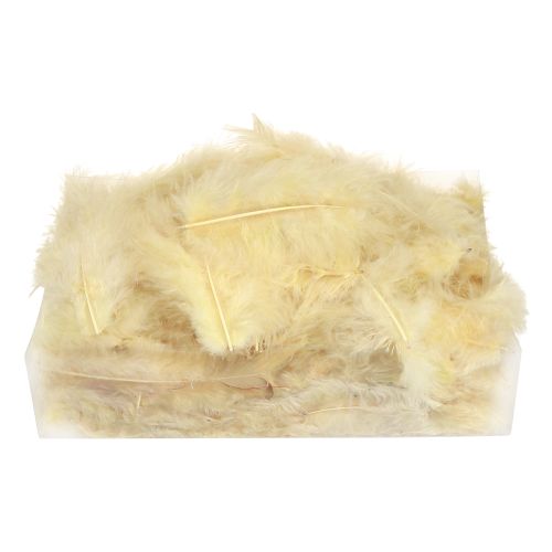 Product Real feathers for crafting in light yellow 5cm – 10cm 20g