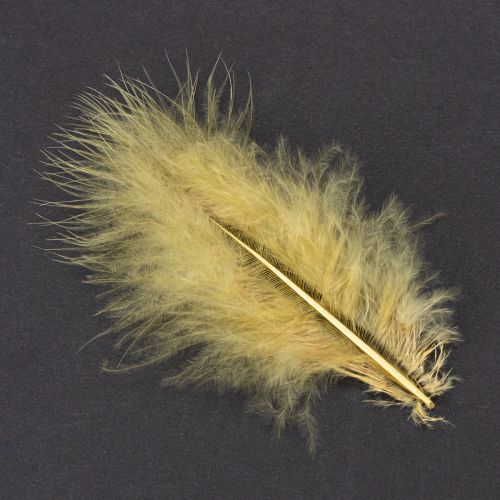 Product Real feathers for crafting in light yellow, 5cm – 10cm, 20g