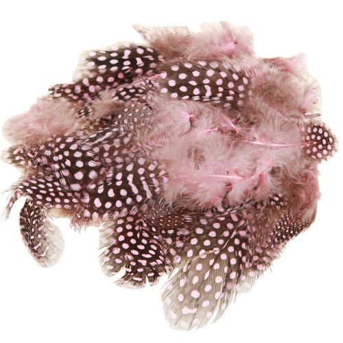 Real Guinea Fowl Feathers Pink with Dots 4-12cm 100 Pcs