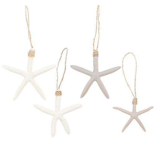 Real starfish decoration maritime pendant gray white 10-14cm 4pcs