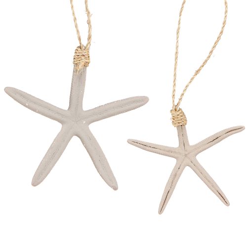Product Real starfish decoration maritime pendant gray white 10-14cm 4pcs