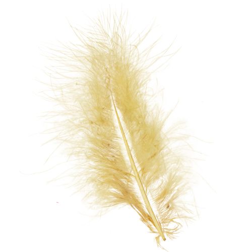 Floristik24 Real feathers for crafting in light yellow, 5cm – 10cm, 20g