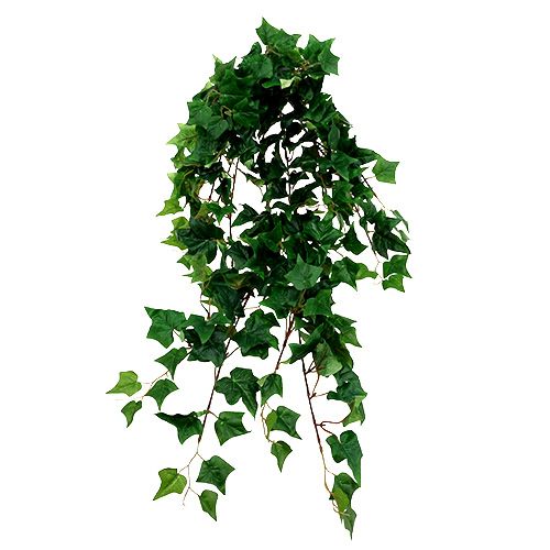 Floristik24 Artificial ivy green 85cm