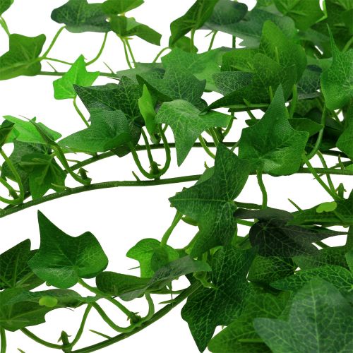 Floristik24 Ivy hanger green 60cm