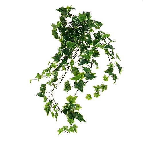 Floristik24 Ivy hanger 80cm white-green