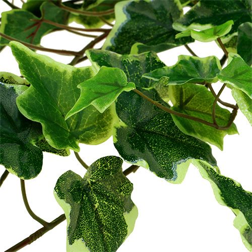 Floristik24 Ivy hanger 80cm white-green