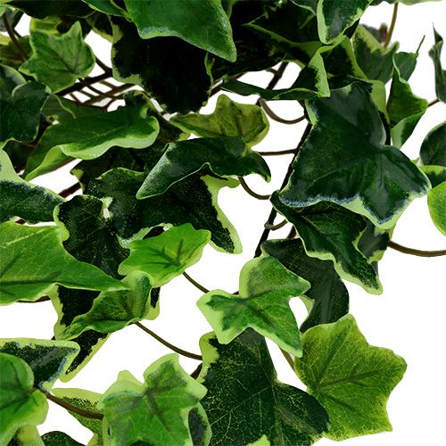 Floristik24 Ivy hanger white-green 70cm