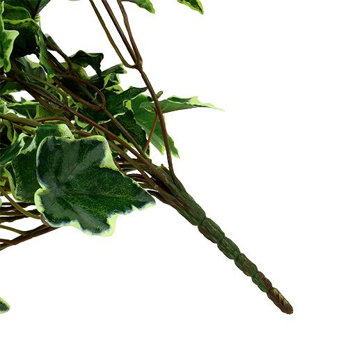 Floristik24 Ivy hanger white-green 70cm