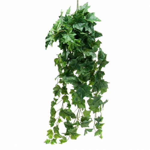 Floristik24 Ivy hanger large leaf 110cm