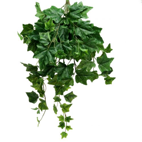 Floristik24 Ivy hanger large leaf 60cm