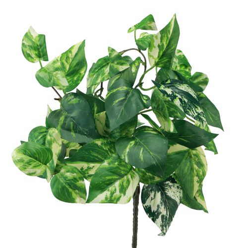 Floristik24 Ivy plant Pothos ivy artificial gold tendril 50cm