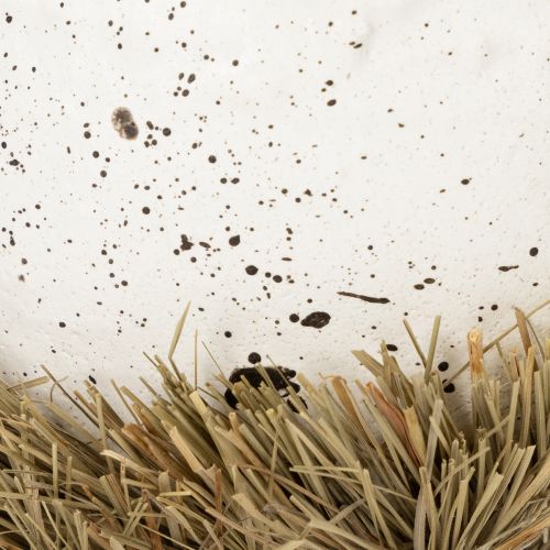 Product Easter nest bowl in egg shape for spring decoration 11cm 4pcs