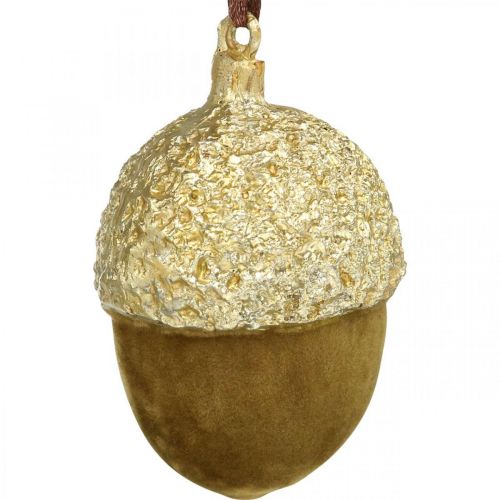 Product Acorns to hang, Advent, tree decorations, autumn decorations H6.5cm Ø4cm 6pcs