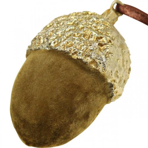 Product Acorns for hanging, Advent, tree decoration, autumn decoration H6.5cm Ø4cm 6 pcs