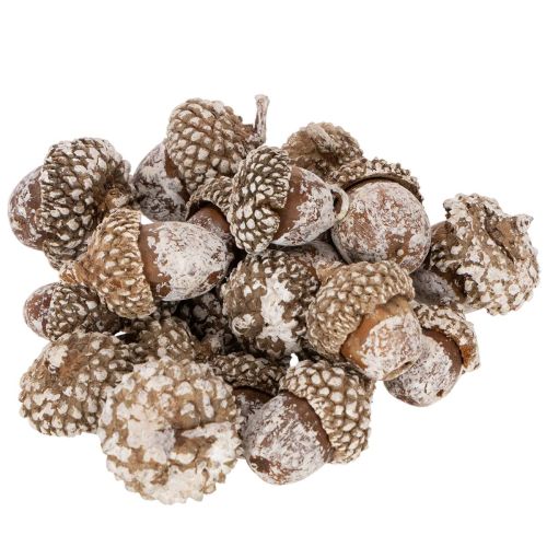 Natural Acorns for Decoration White-Washed 1-3cm 300g