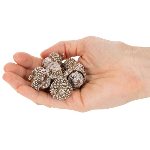 Natural Acorns for Decoration White-Washed 1-3cm 300g | Floristik24.co.uk