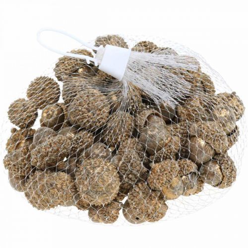 Product Autumn fruits golden, festive autumn decoration, decorative acorns natural, Advent decoration Ø1.5 – 2.5cm L1.5 – 3cm 300g