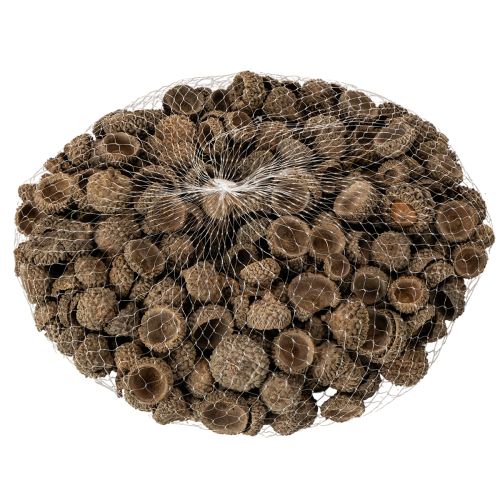Natural Acorn Caps for Autumn and Advent Decorations 2cm 300g | Floristik24.co.uk
