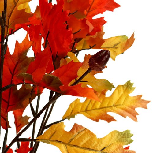 Floristik24 Oak tree bush orange 56cm